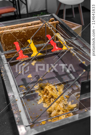 Using beekeeping tools for opening wax cells full of ready product. 114641633
