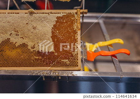 Using beekeeping tools for opening wax cells full of ready product. Using beekeeping tools for opening wax cells full of ready product. 114641634