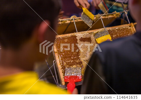Children Use beekeeping tools to open wax cells filled with the finished product. Children Use beekeeping tools to open wax cells filled with the finished product. 114641635