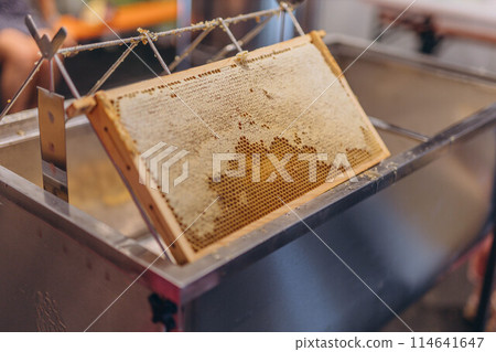 Using beekeeping tools for opening wax cells full of ready product. 114641647