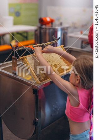 Girl Use beekeeping tools to open wax cells filled with the finished product. 114641649