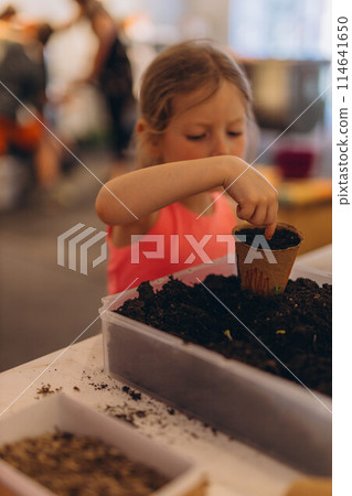 Girl planting seeds for seedlings in small recyclable peat pots, seedling container.Children learn to grow Girl planting seeds for seedlings in small recyclable peat pots, seedling container.Children learn to grow 114641650