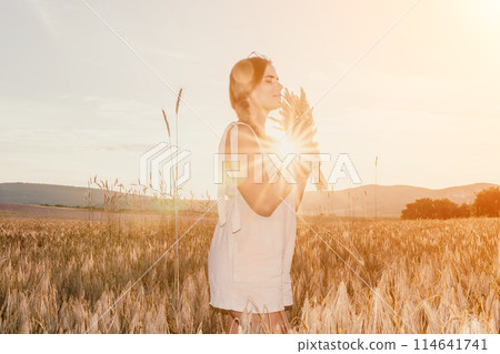 Woman wheat field. Agronomist, Woman farmer check golden ripe barley spikes in cultivated field. A woman is holding a bunch of wheat in her arms. Woman wheat field. Agronomist, Woman farmer check golden ripe barley spikes in cultivated field. A woman is holding a bunch of wheat in her arms. 114641741