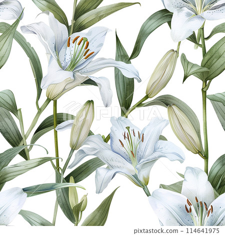 lily, watercolor, flower 114641975