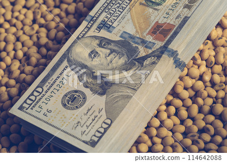 Dollars banknotes and coins and soy beans,oleaginous commoditi value concept. 114642088