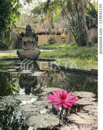 Pink lotus flowers in a pond and a Buddha statue 114642170
