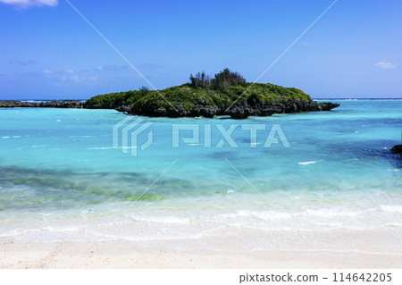 Sea of Yoron Island Sea of Yoron Island 114642205