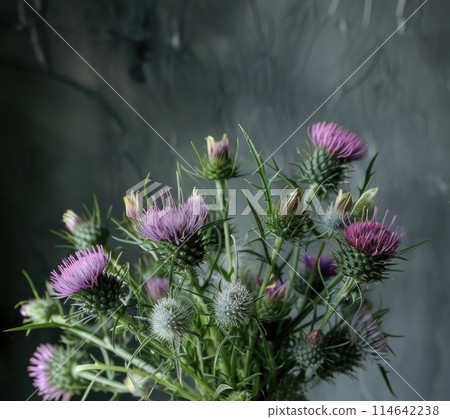 a woman holds a bouquet of thistles 114642238