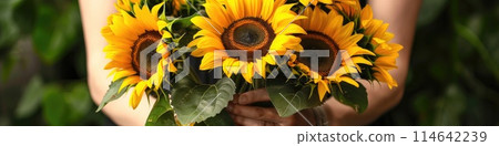 Vibrant and cheerful, a woman hands cradle a bountiful bouquet of sunflowers 114642239