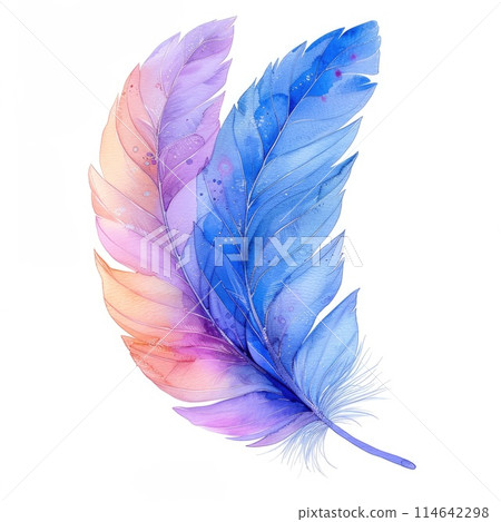 An elegant watercolor feather painted in a gradient 114642298