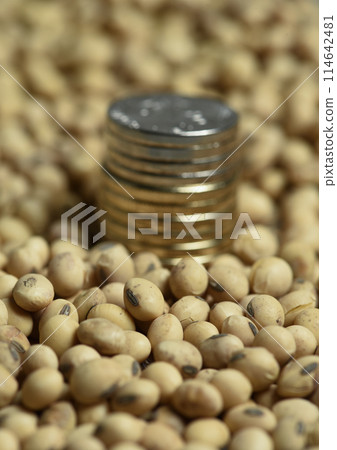 Dollars banknotes and coins and soy beans,oleaginous commoditi value concept. 114642481