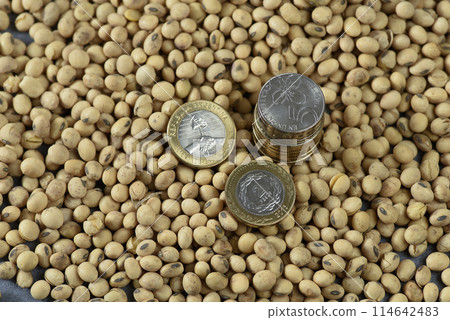 Dollars banknotes and coins and soy beans,oleaginous commoditi value concept. 114642483
