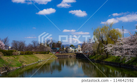 櫻花盛開,松本城公園,外護城河,長野縣松本市 櫻花盛開,松本城公園,外護城河,長野縣松本市 114642592