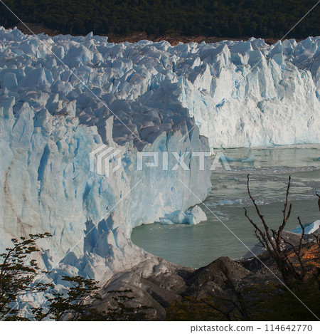 Perito Moreno Glacier, Los Glaciares National Park, Santa Cruz Province, Patagonia Argentina. 114642770