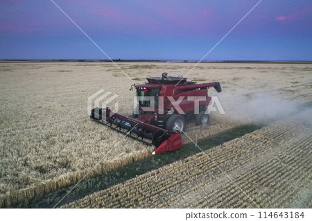 Harvester machine, harvesting in the Argentine countryside, Buenos Aires province, Argentina. 114643184