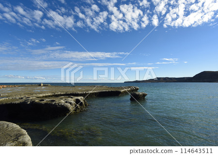 Coastal landscape with cliffs in Peninsula Valdes, World Heritage Site, Patagonia Argentina 114643511