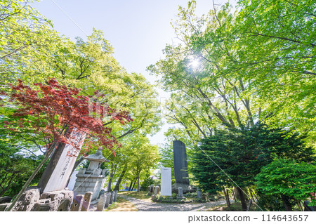 「青森郡」八戶城本丸遺址石碑(青森郡三八城公園/八戶市丸) 「青森郡」八戶城本丸遺址石碑(青森郡三八城公園/八戶市丸) 114643657