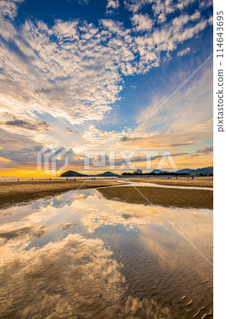 父母濱海灘 父母濱海灘 114643695