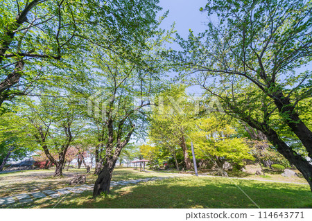 「青森縣」八戶市新綠三八條公園 「青森縣」八戶市新綠三八條公園 114643771