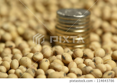 Dollars banknotes and coins and soy beans,oleaginous commoditi value concept. Dollars banknotes and coins and soy beans,oleaginous commoditi value concept. 114643786