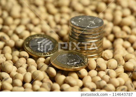 Dollars banknotes and coins and soy beans,oleaginous commoditi value concept. 114643787