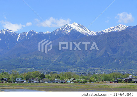 安曇野鄉和北阿爾卑斯山的春天 114643845
