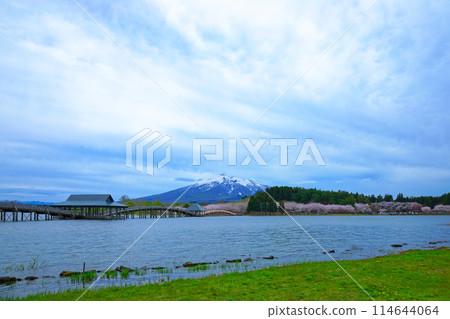 Tsurunomai Bridge and Mount Iwaki Cherry Blossoms in Full Bloom 114644064