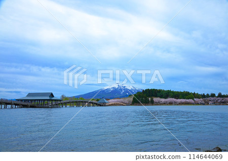 Tsurunomai Bridge and Mount Iwaki Cherry Blossoms in Full Bloom Tsurunomai Bridge and Mount Iwaki Cherry Blossoms in Full Bloom 114644069