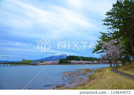Tsurunomai Bridge and Mount Iwaki Cherry Blossoms in Full Bloom Tsurunomai Bridge and Mount Iwaki Cherry Blossoms in Full Bloom 114644072