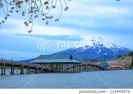 Tsurunomai Bridge and Mount Iwaki Cherry Blossoms in Full Bloom Tsurunomai Bridge and Mount Iwaki Cherry Blossoms in Full Bloom 114644079