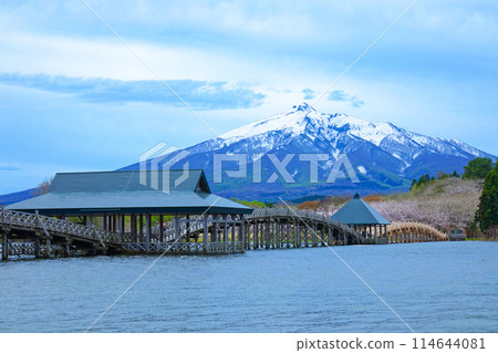Tsurunomai Bridge and Mount Iwaki Cherry Blossoms in Full Bloom Tsurunomai Bridge and Mount Iwaki Cherry Blossoms in Full Bloom 114644081