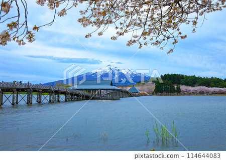 Tsurunomai Bridge and Mount Iwaki Cherry Blossoms in Full Bloom Tsurunomai Bridge and Mount Iwaki Cherry Blossoms in Full Bloom 114644083