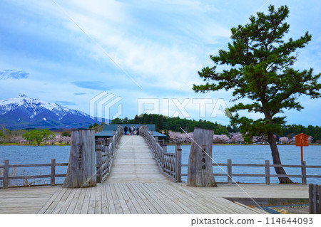 Tsurunomai Bridge and Mount Iwaki Cherry Blossoms in Full Bloom Tsurunomai Bridge and Mount Iwaki Cherry Blossoms in Full Bloom 114644093