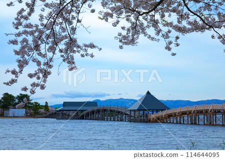 Tsurunomai Bridge and cherry blossoms in full bloom Tsurunomai Bridge and cherry blossoms in full bloom 114644095