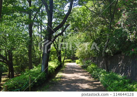 青葉若葉公園 青葉若葉公園 114644128