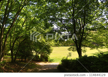 青葉若葉公園 青葉若葉公園 114644129
