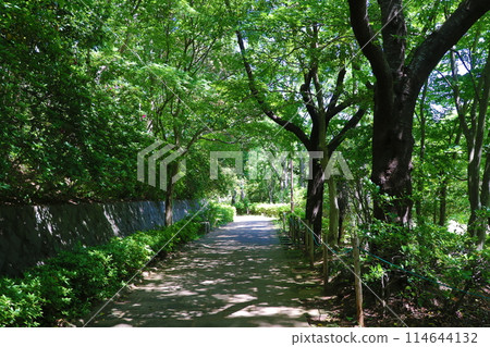 青葉若葉公園 114644132
