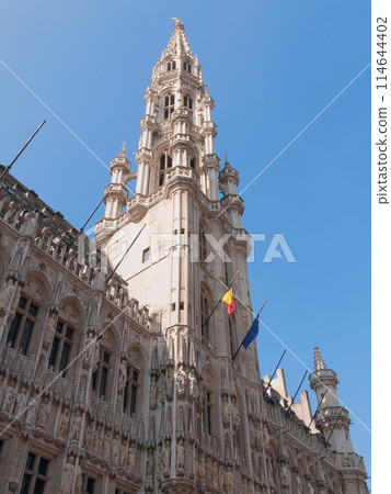 比利時布魯塞爾市政廳 114644402