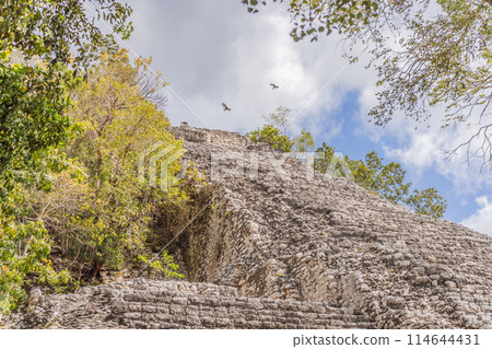 Coba, Mexico. Ancient mayan city in Mexico. Coba is an archaeological area and a famous landmark of Yucatan Peninsula. Cloudy sky over a pyramid in Mexico Coba, Mexico. Ancient mayan city in Mexico. Coba is an archaeological area and a famous landmark of Yucatan Peninsula. Cloudy sky over a pyramid in Mexico 114644431