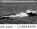Monochrome wave 114644490