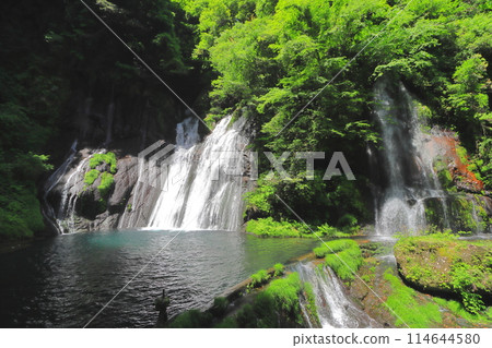 Hakusui Falls (Takeda City) Hakusui Falls (Takeda City) 114644580
