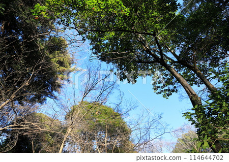 東京城市景觀有棲川紀念公園 114644702