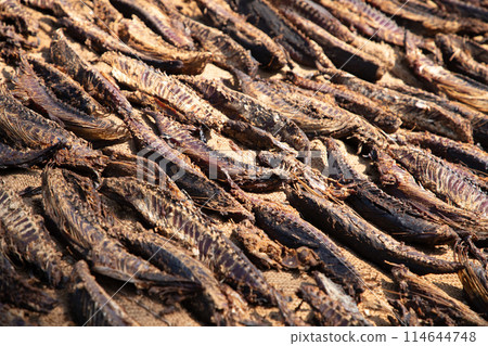 Tuna drying process on the coast of Sri Lanka 114644748
