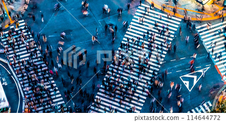 Aerial View of Shibuya, Tokyo, Japan Aerial View of Shibuya, Tokyo, Japan 114644772