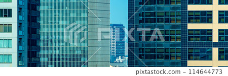 Building and skyscrapers in Tokyo 114644773