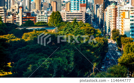 Shinjuku, Tokyo Japan, cityscape 114644777