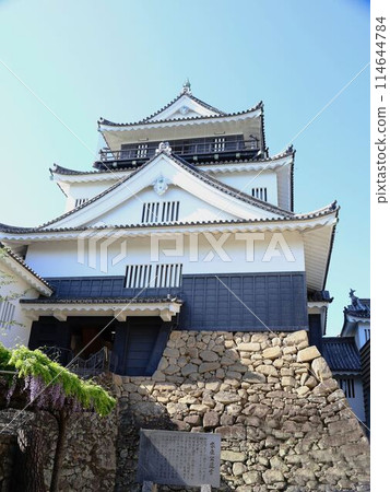 Wisteria and Okazaki Castle 2 114644784