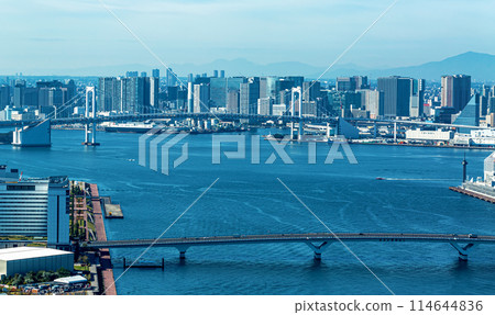 Odaiba and Tokyo Bay, Tokyo Odaiba and Tokyo Bay, Tokyo 114644836