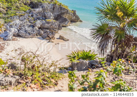 Beautiful archaeological site of the Mayan culture in Tulum, Mexico Beautiful archaeological site of the Mayan culture in Tulum, Mexico 114644855