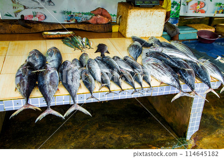 Fish sellers at Trincomalee market in Trincomalee, Sri Lanka. Fish sellers at Trincomalee market in Trincomalee, Sri Lanka. 114645182